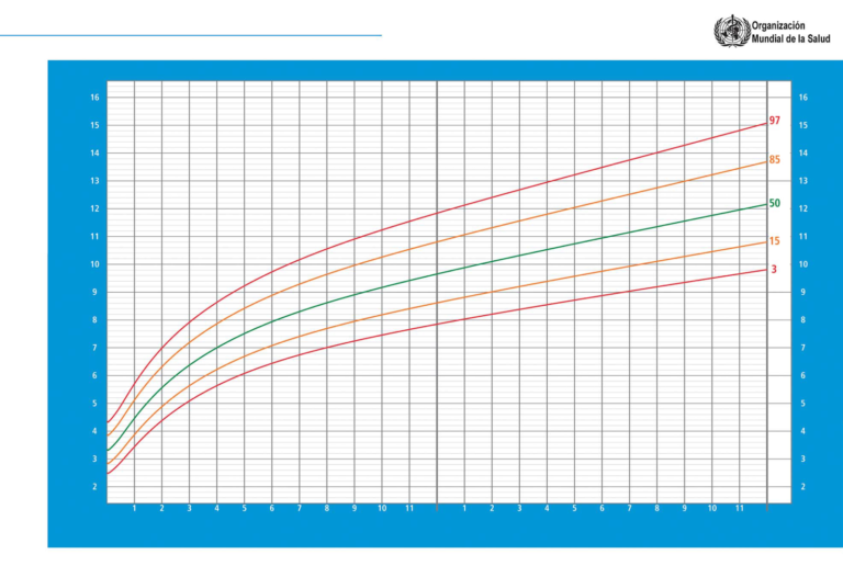 ¿Qué son los percentiles?