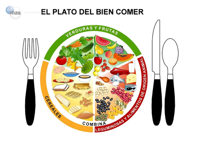 Alimentación y plato saludable