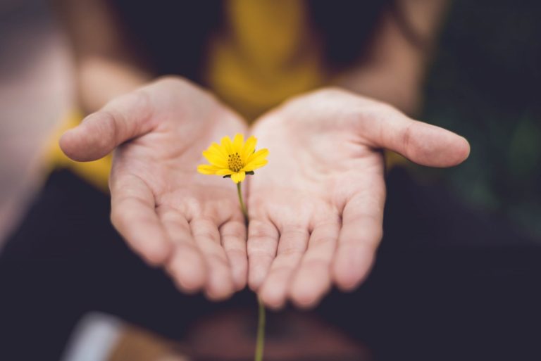 Resiliencia, la necesidad de conocerla.